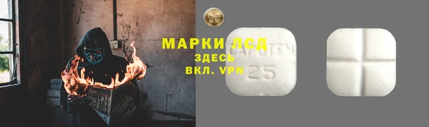 амф Протвино