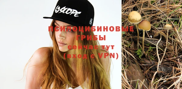 a pvp Балахна