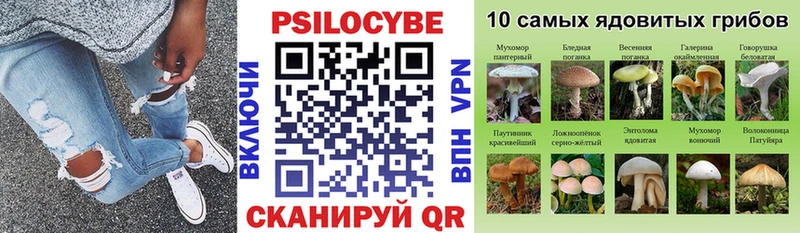 Галлюциногенные грибы Psilocybine cubensis  ОМГ ОМГ tor  Заречный 